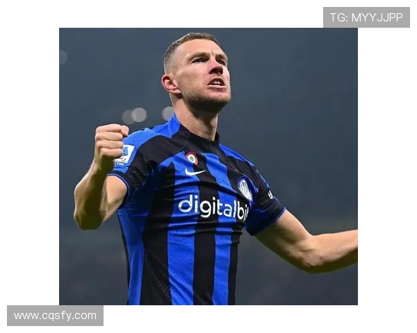 沙尔克旧将：哲科续约助力德甲争胜